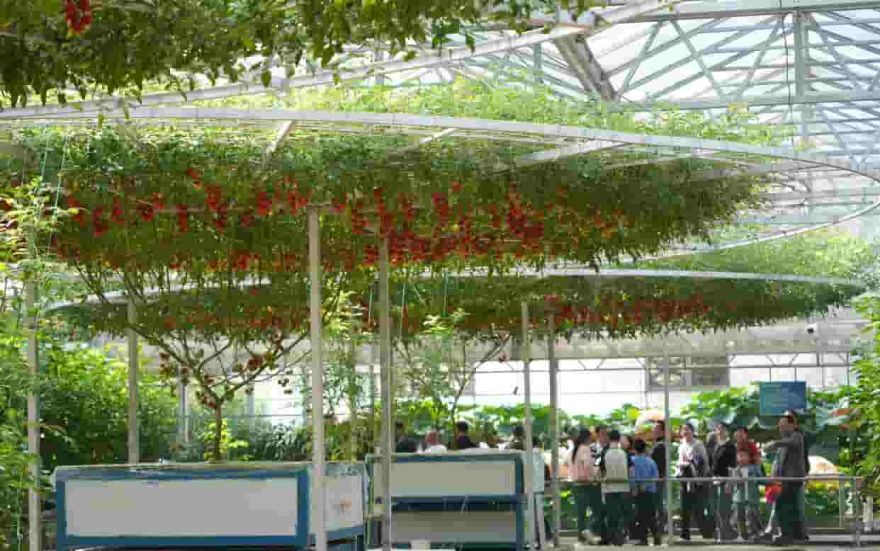 公司参加农业科技展览会